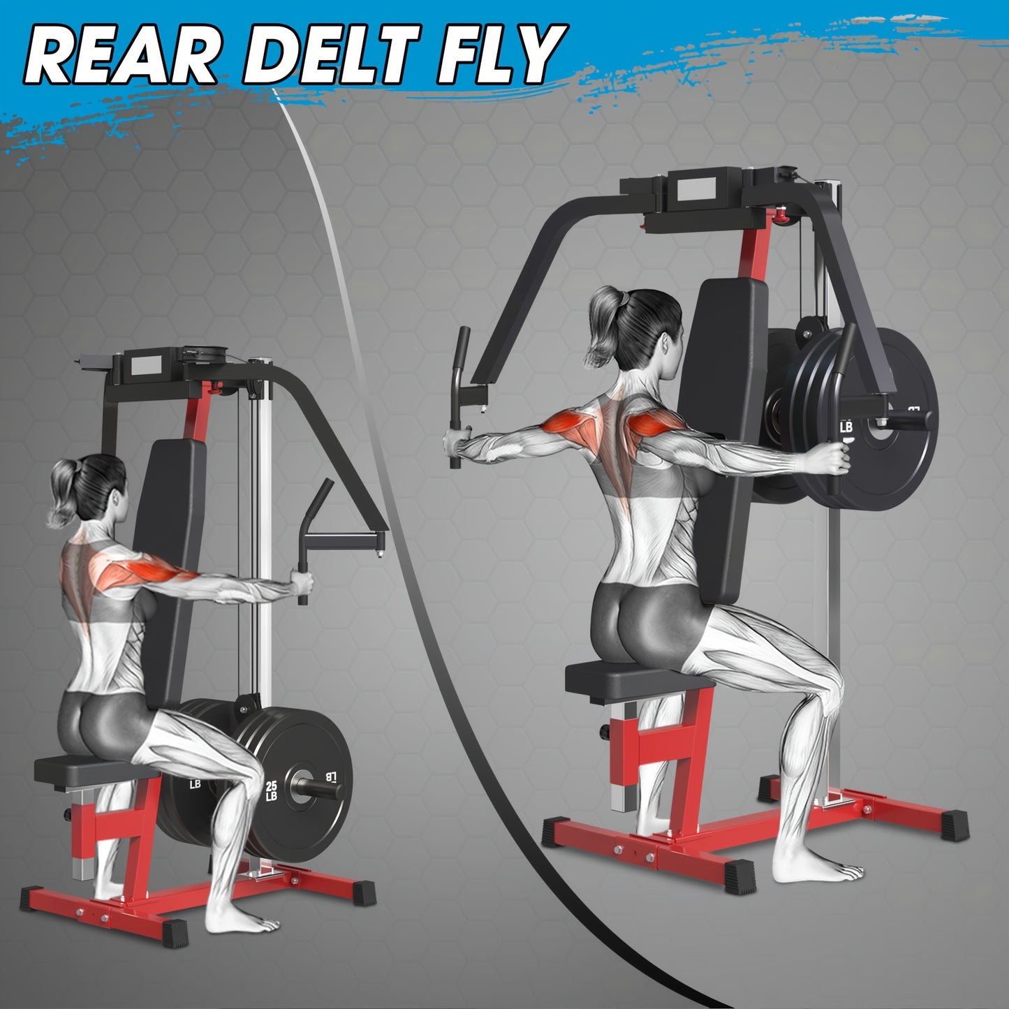 Chest Fly and Reverse Delt Machine