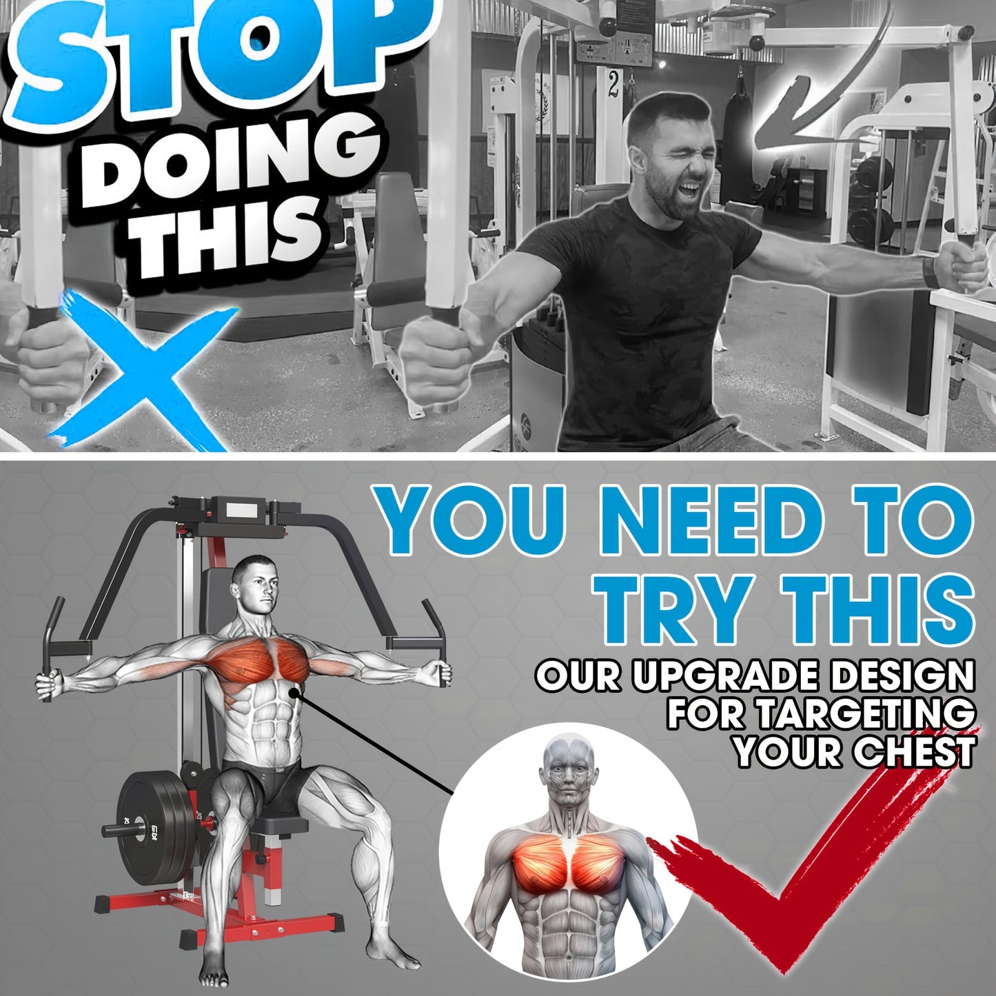 Chest Fly and Reverse Delt Machine