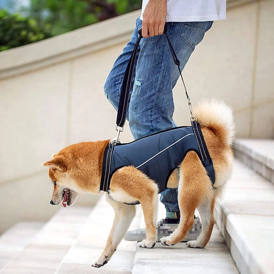 Dog Support Harness