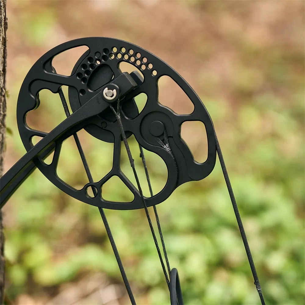 19-70LBS Compound Bow Set with Accessories