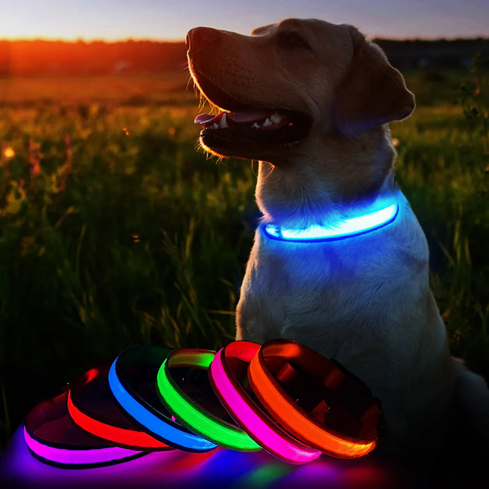 Dog Collar Luminous Pet Supplies